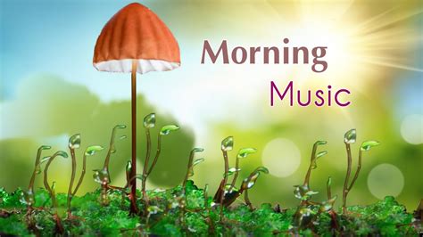 morning relaxing music|morning relaxing music for classroom.